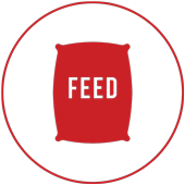 icon-feed-text-label